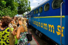 Recovery child narrow gauge railway