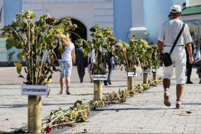 Exhibition dedicated to 2nd anniversary of the tragedy at Ilovaisk 