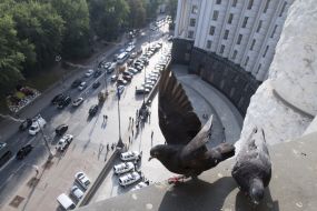 Cabinet of Ministers launched a mobile group of combating corruption at state border