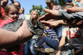 Дітям в "Охматдит" привезли тварин із зоопарку