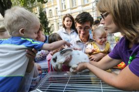Дітям в "Охматдит" привезли тварин із зоопарку