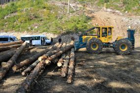 Трелювання деревини трактором