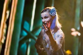 Concert of band "Pur:Pur"