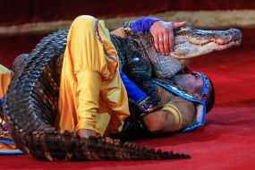 The premiere of the new program of the National Circus of Ukraine