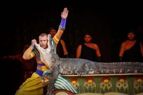 The premiere of the new program of the National Circus of Ukraine
