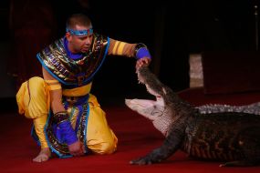 The premiere of the new program of the National Circus of Ukraine