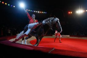 The premiere of the new program of the National Circus of Ukraine