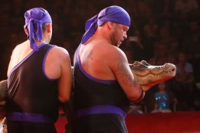 The premiere of the new program of the National Circus of Ukraine