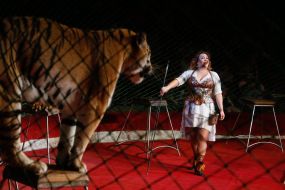 The premiere of the new program of the National Circus of Ukraine