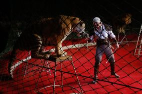 The premiere of the new program of the National Circus of Ukraine