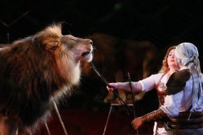 The premiere of the new program of the National Circus of Ukraine