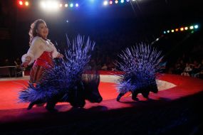 The premiere of the new program of the National Circus of Ukraine