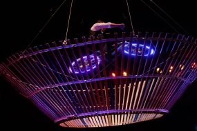 The premiere of the new program of the National Circus of Ukraine