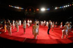 The premiere of the new program of the National Circus of Ukraine