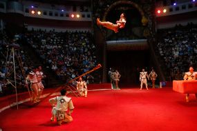 The premiere of the new program of the National Circus of Ukraine