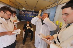 Хасиды в Умани