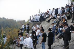 Хасиди в Умані