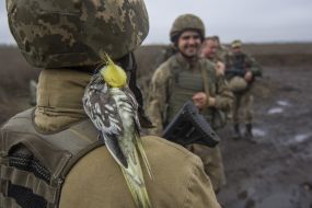 Украинские военные в зоне АТО