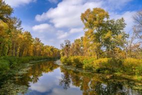 he sleeve of Matveevskoe Bay