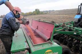 Field work in the Kharkiv region