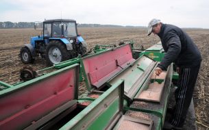 Field work in the Kharkiv region