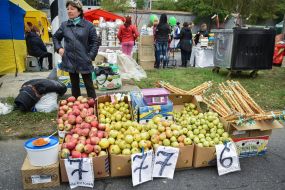 Pokrovskii Fair in Zaporizhzhua