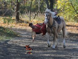 Events on the occasion of the Cossack holiday - Intercession of the Holy Virgin