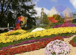 Chrysanthemum Festival in Kiev