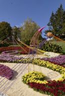 Chrysanthemum Festival in Kiev