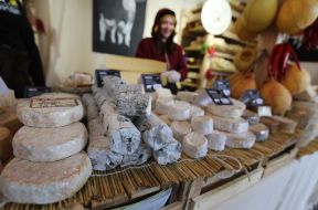 Lviv Cheese and Wine Festival