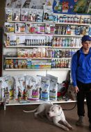 Dogs show "Autumn Lviv 2016"