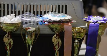 Dogs show "Autumn Lviv 2016"