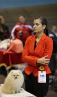 Dogs show "Autumn Lviv 2016"