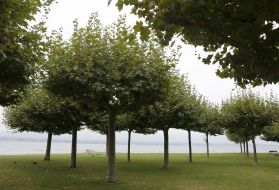 Село Эрманс в Швейцарии