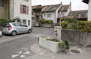 Village Ermans in Switzerland