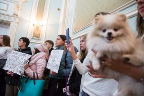 Participants of the action at a meeting of the permanent commission of the KSCA