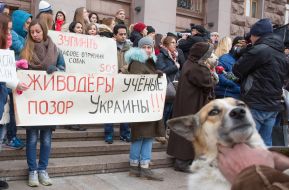 Participants of the action