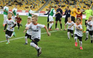 Football. FC "Shakhtar" - FC "Alexandria"