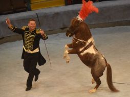«Great Hungary circus»  program in Zaporozhia circus
