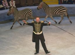 «Great Hungary circus»  program in Zaporozhia circus