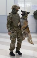 Joint exercises of special units KORD and "Dozor"