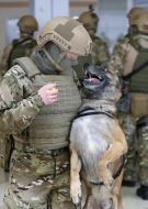 Joint exercises of special units KORD and "Dozor"