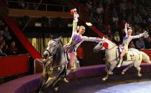 Attraction "Belarusian riders"