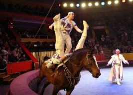 Attraction "Belarusian riders"