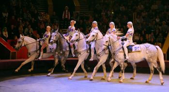Attraction "Belarusian riders"