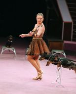 Dachshunds