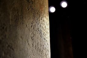 Древнерусские надписи Софии Киевской