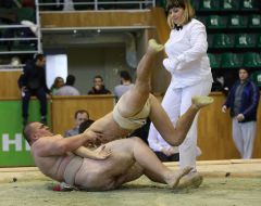 Міжнародний турнір з боротьби сумо