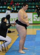 Международный турнир по борьбе сумо