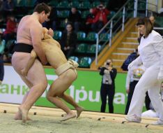 Міжнародний турнір з боротьби сумо